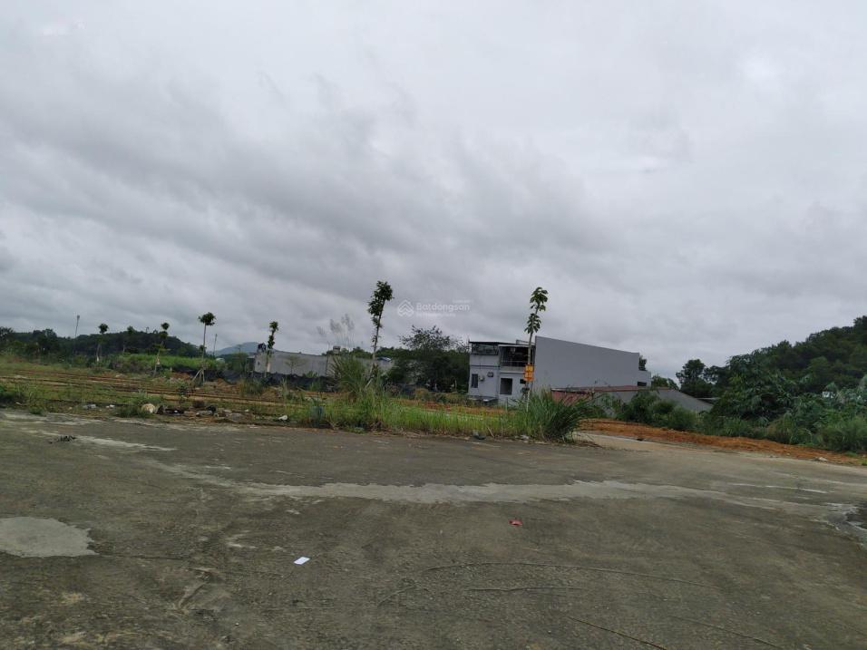 3810407 ảnh đại diện 1