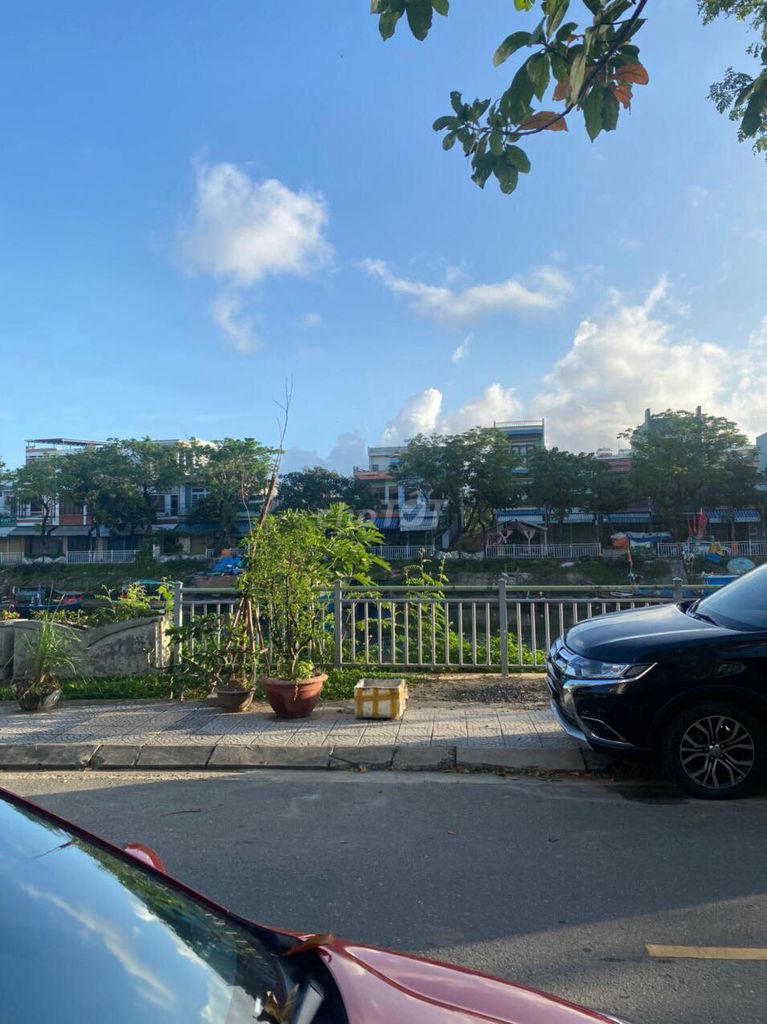 3811305 ảnh đại diện 1
