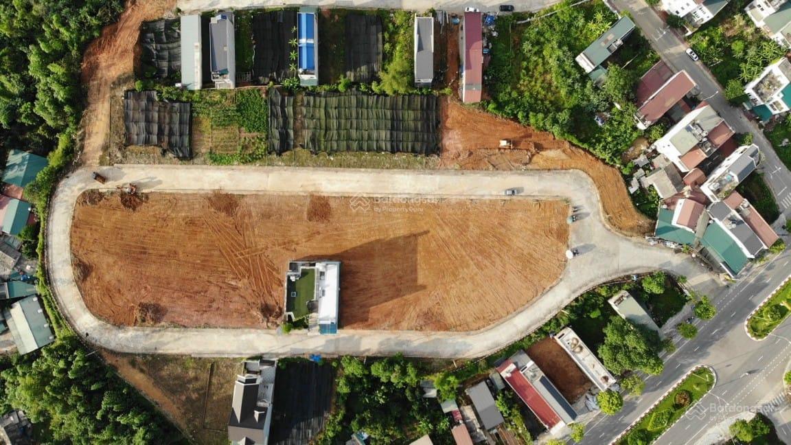3810407 ảnh đại diện 1