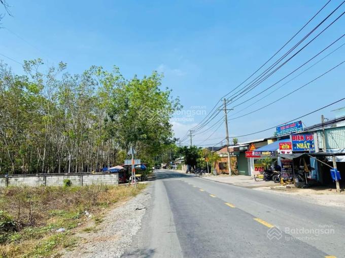 3812840 ảnh đại diện 1