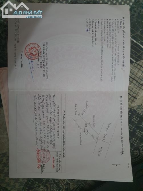 3812019 ảnh đại diện 1