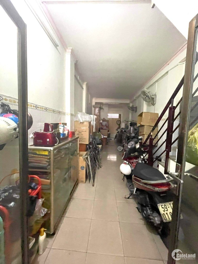 3815908 ảnh đại diện 2