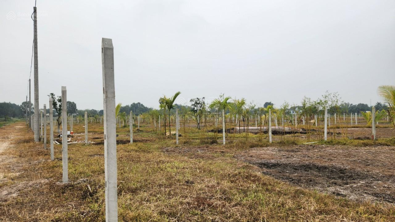 3812868 ảnh đại diện 1