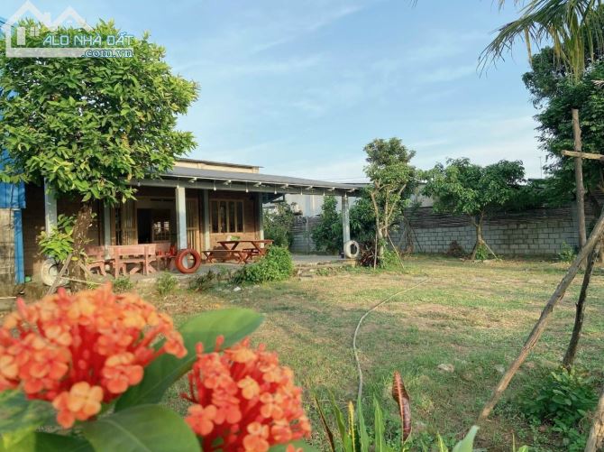 3811967 ảnh đại diện 1