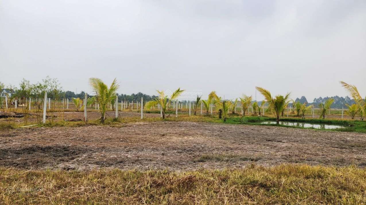 3812868 ảnh đại diện 1