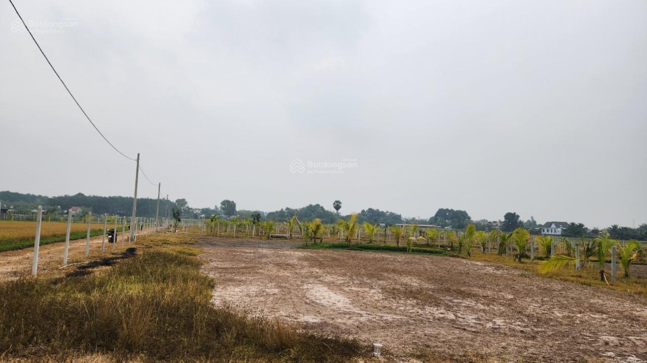 3812868 ảnh đại diện 2