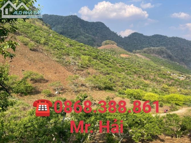 3812018 ảnh đại diện 2