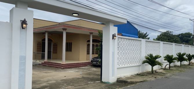 3811967 ảnh đại diện 1