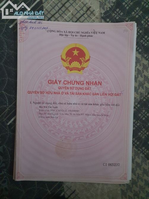 3812019 ảnh đại diện 1