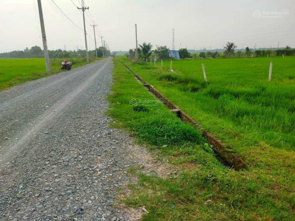 3812840 ảnh đại diện 1