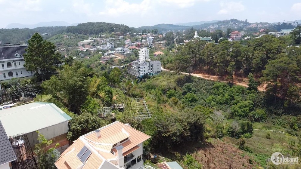 3812344 ảnh đại diện 2