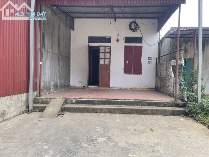 3812019 ảnh đại diện 2