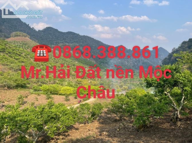 3812018 ảnh đại diện 1