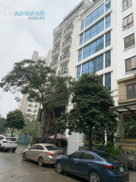 3816953 ảnh đại diện 1