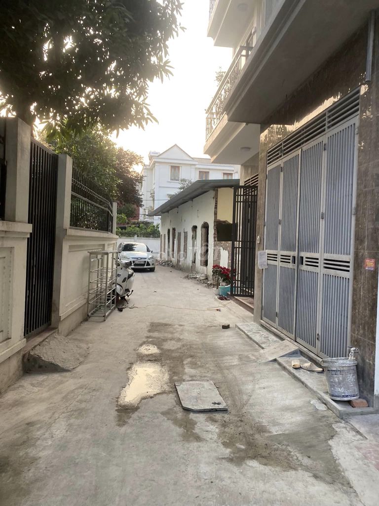 3819224 ảnh đại diện 1