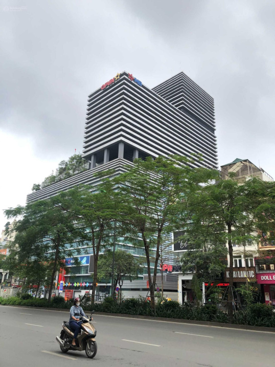 3819540 ảnh đại diện 1