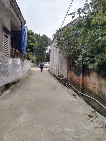 3819437 ảnh đại diện 2