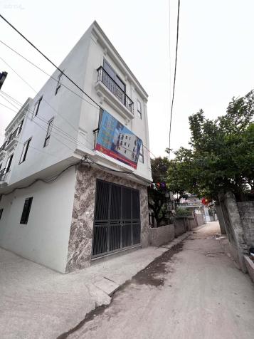 3819112 ảnh đại diện 1