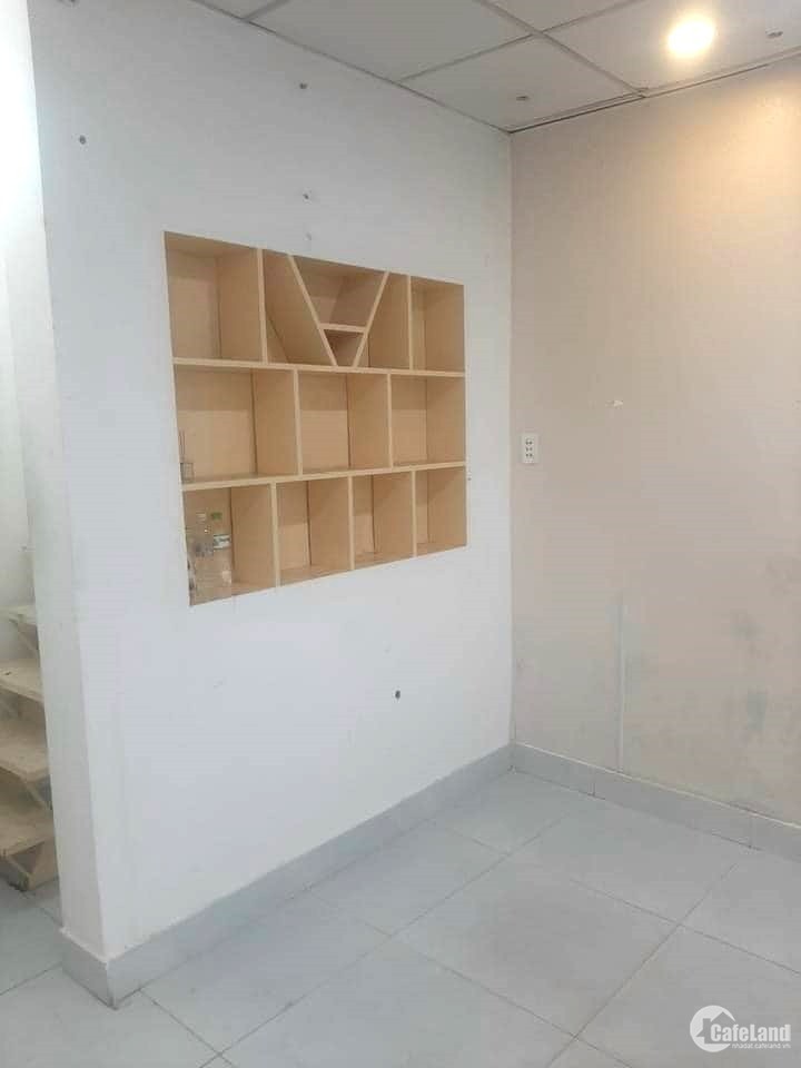 3819007 ảnh đại diện 1