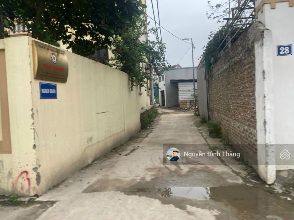 3818835 ảnh đại diện 1