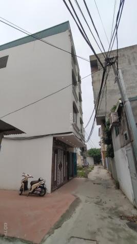 3819120 ảnh đại diện 1