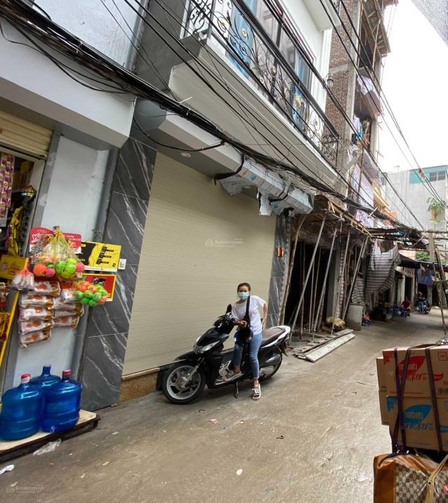 3817554 ảnh đại diện 1