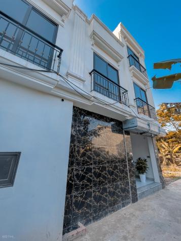 3819135 ảnh đại diện 1