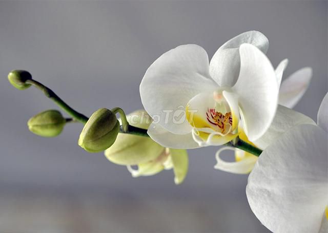 3819082 ảnh đại diện 2