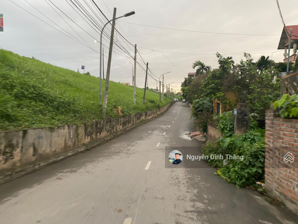 3818835 ảnh đại diện 1