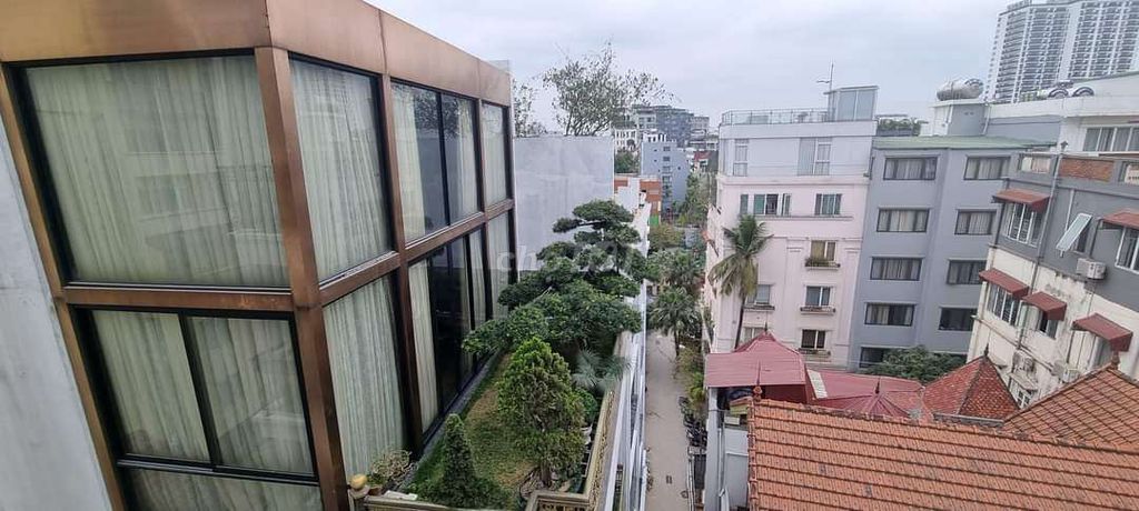 3819234 ảnh đại diện 1