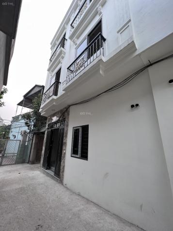 3819109 ảnh đại diện 1