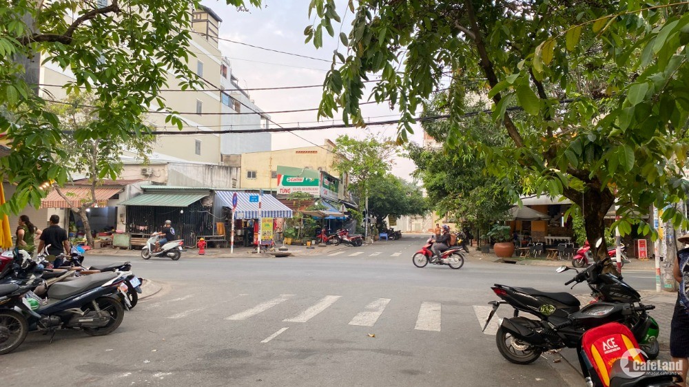 3819007 ảnh đại diện 1