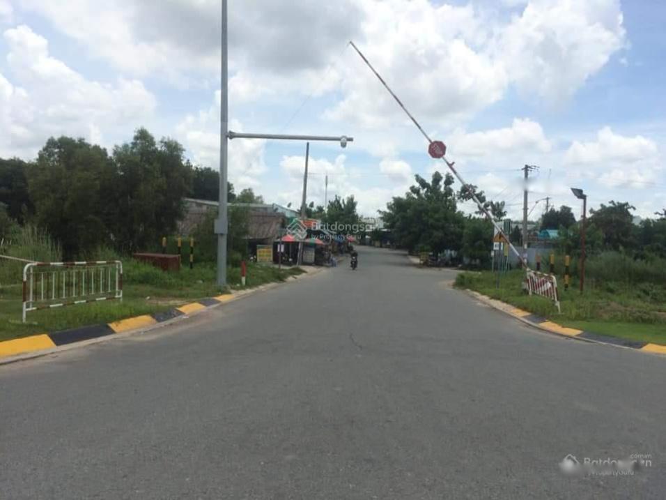 3819192 ảnh đại diện 1