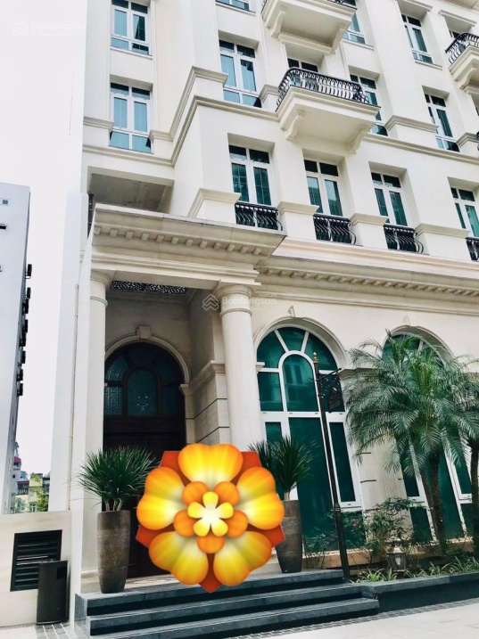 3822730 ảnh đại diện 1