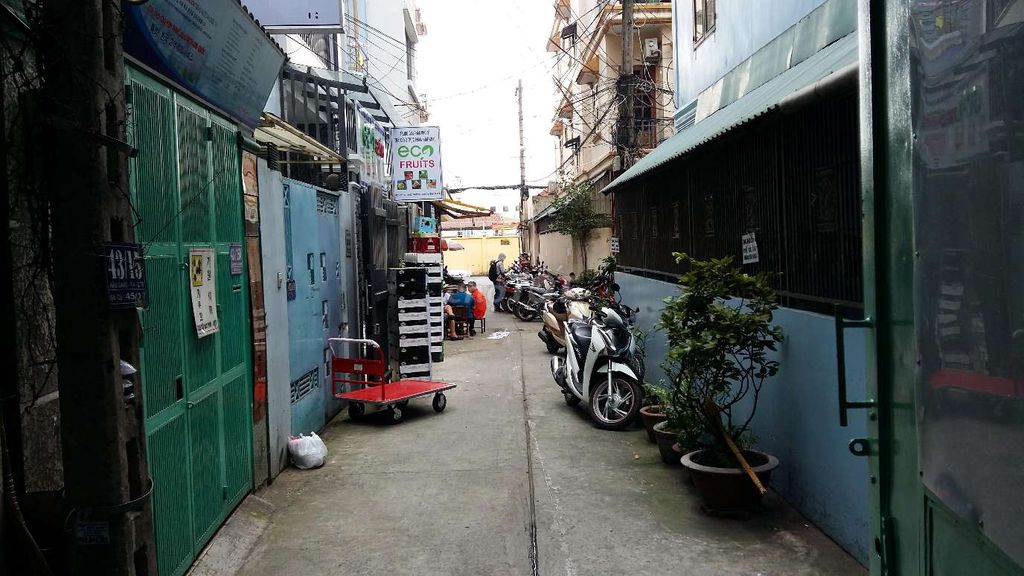 3821064 ảnh đại diện 1