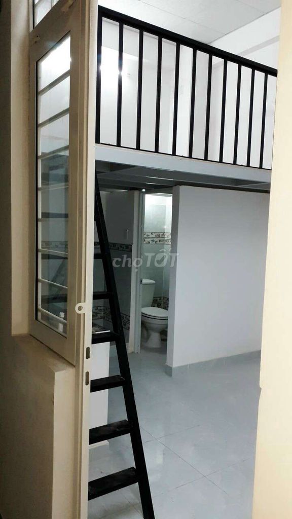 3821013 ảnh đại diện 1