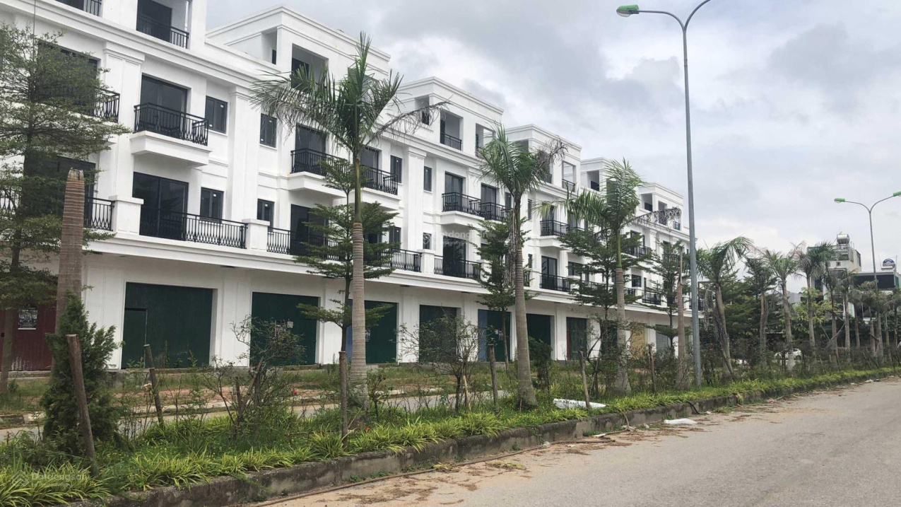 3823939 ảnh đại diện 1