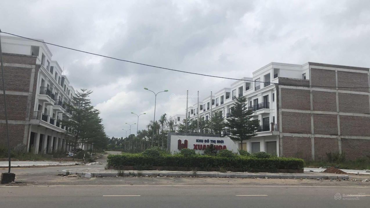 3823939 ảnh đại diện 1