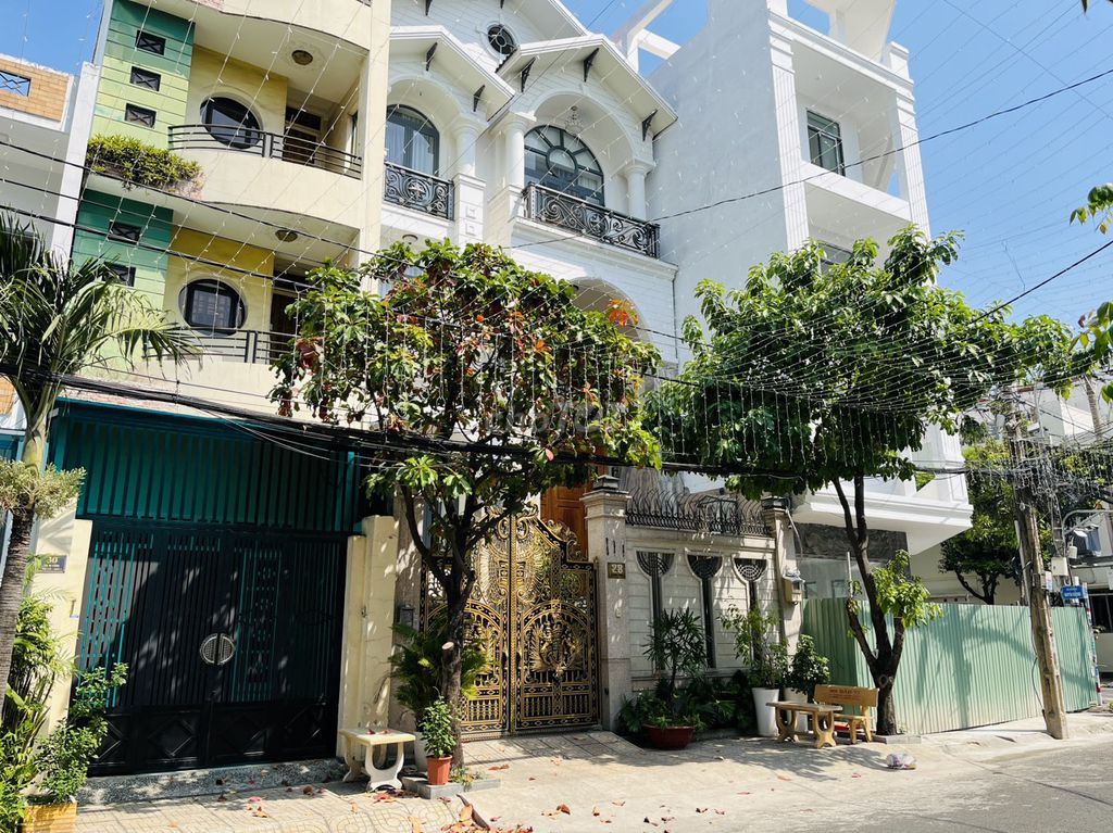3822581 ảnh đại diện 2