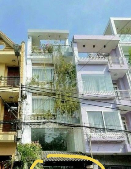 3822583 ảnh đại diện 1
