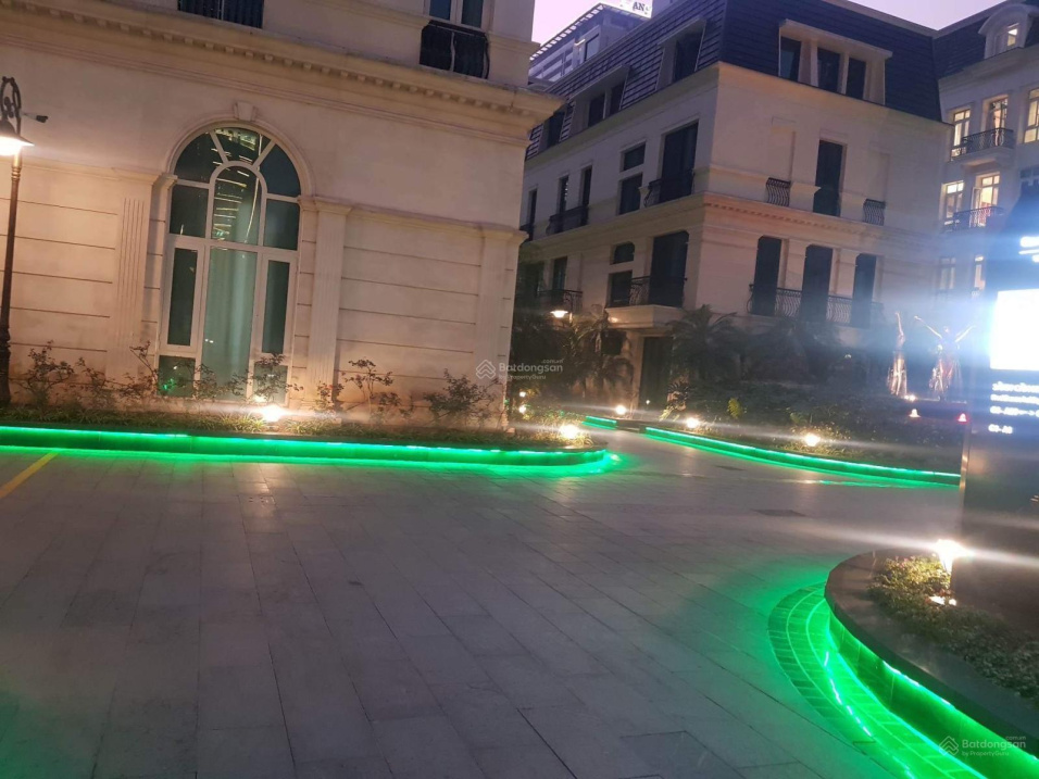 3822716 ảnh đại diện 2