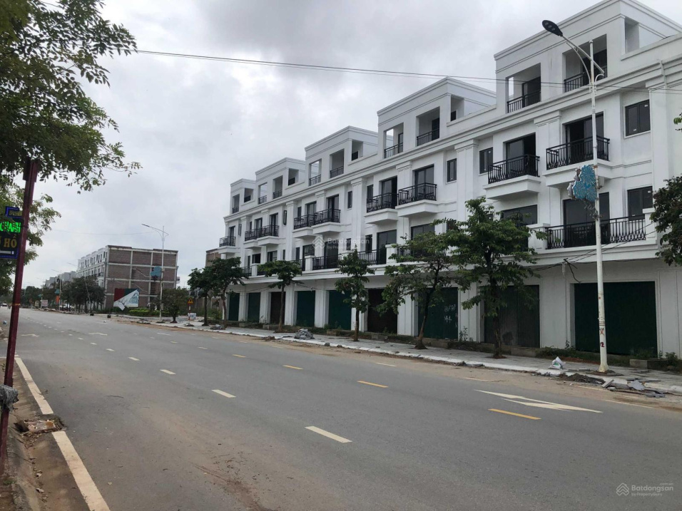 3823939 ảnh đại diện 2