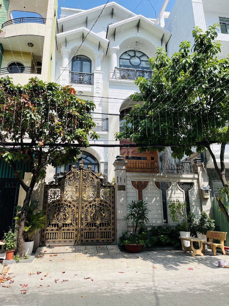 3822581 ảnh đại diện 1