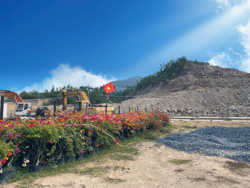 3827981 ảnh đại diện 2