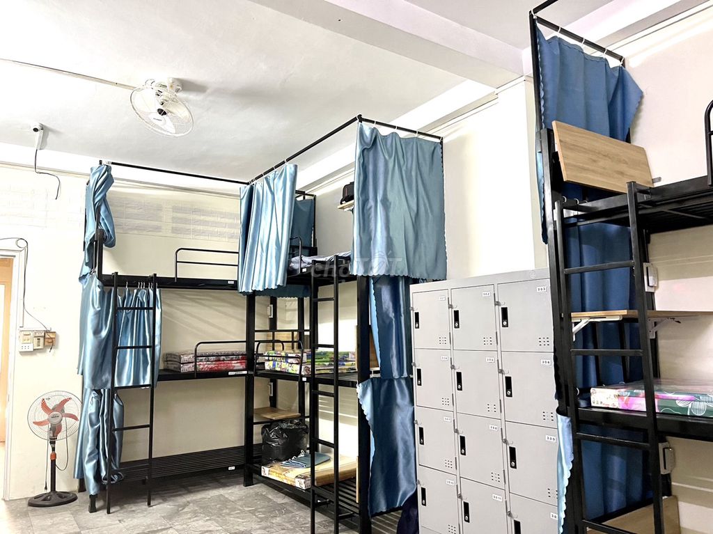 3828094 ảnh đại diện 2