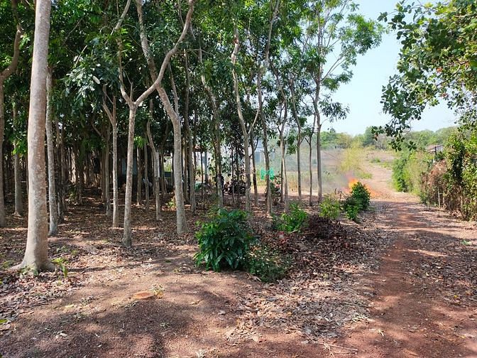 3828454 ảnh đại diện 2