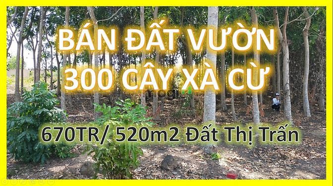 3828454 ảnh đại diện 1