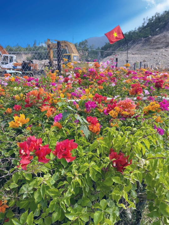 3827981 ảnh đại diện 1
