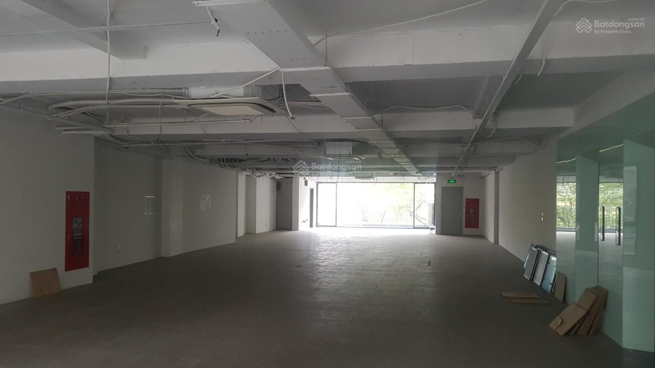 3825299 ảnh đại diện 1