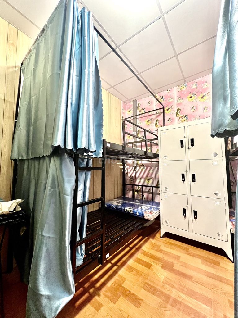3828094 ảnh đại diện 1